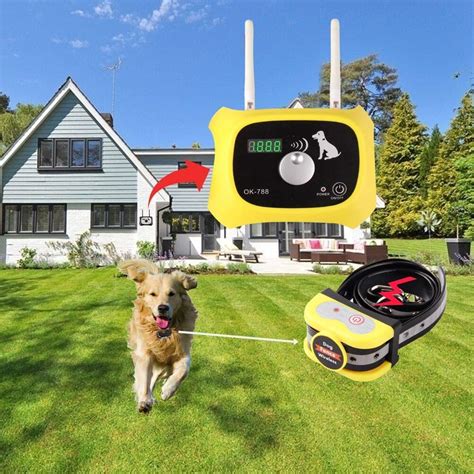 electric fence box for dogs|best wireless dog fence for home.